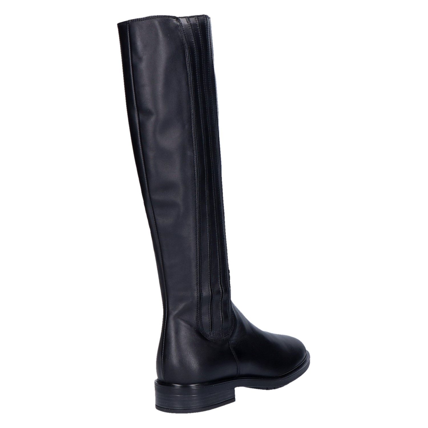 Lay　5セット DL Sport 6829 Laars zwart leer elastiek met artikelnummer 6829